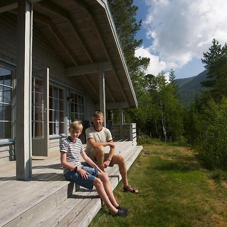 Jolsterlia Hyttetun Årdal エクステリア 写真